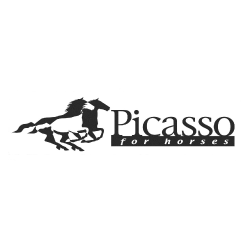 Logo Picasso for horses
